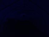 2023-03-17 06:00