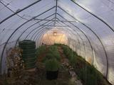 2023-04-06 18:00