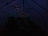 2023-05-28 20:00