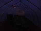2023-05-29 20:00