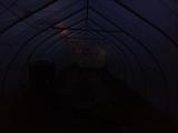 2023-06-01 20:00