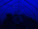 2023-06-02 20:00