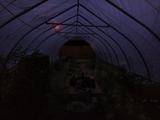 2023-07-17 20:00