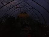 2023-07-25 20:00