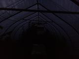 2023-10-09 06:00