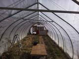 2024-01-15 12:00