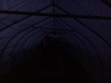 2024-03-21 06:00