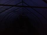 2024-03-23 06:00