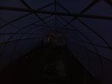 2024-05-26 20:00