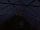 2024-05-27 20:00