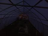 2024-05-29 20:00