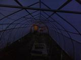 2024-06-02 20:00