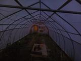 2024-06-06 20:00