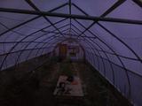 2024-06-13 20:00