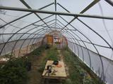 2024-06-20 14:00