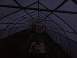 2024-06-25 20:00
