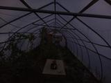 2024-09-29 06:00