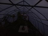 2024-09-30 06:00