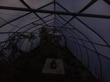 2024-10-01 06:00