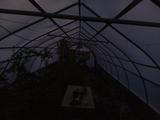 2024-10-02 06:00