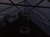 2024-10-03 06:00