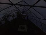 2024-10-04 06:00