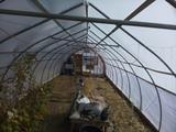 2024-11-13 12:00