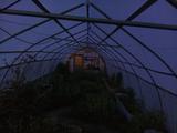 2025-06-05 20:00