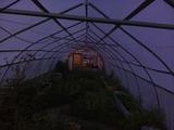 2025-06-06 20:00