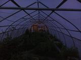 2025-06-08 20:00