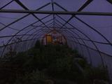 2025-06-09 20:00