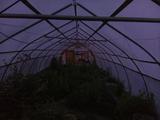 2025-06-10 20:00