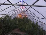 2025-07-05 20:00
