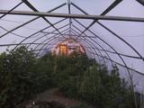 2025-07-06 20:00