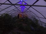 2025-07-13 20:00