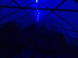 2025-07-20 20:00