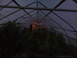 2025-07-21 20:00