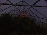 2025-07-22 20:00