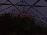 2025-07-23 20:00