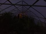 2025-07-24 20:00