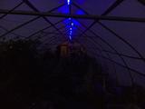 2025-07-26 20:00