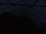 2025-07-29 20:00