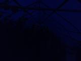 2025-08-03 20:00