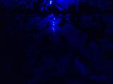 2025-12-01 20:00
