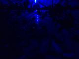 2025-12-03 20:00