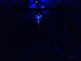 2026-01-12 20:00