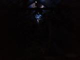 2026-01-19 20:00
