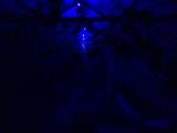 2026-02-12 20:00