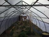 2026-03-12 10:00