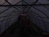 2026-03-25 06:00